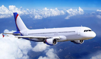 宠物托运流程以及手续上海航空货运让您省心放心