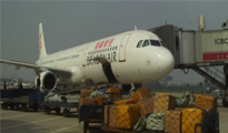也许在未来的航空运输业一系列的流程都将由数据来完成