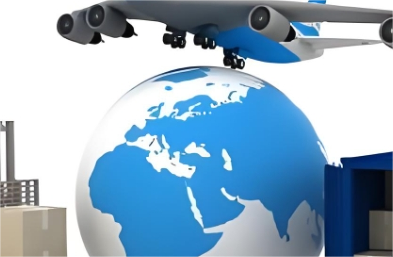 上海航空货运公司深刻展现了现代航空货运行业的蓬勃生机