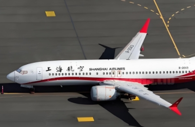 上海空运以其高效便捷和广泛的覆盖范围，成为连接中国与世界各地的重要空中桥梁